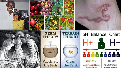 The Biblical Cause of Disease: Germ Theory vs Terrain Theory