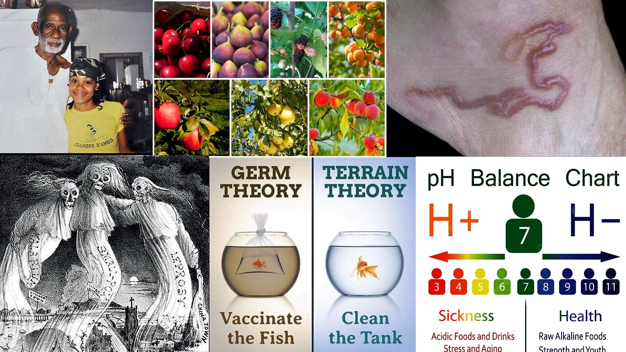 The Biblical Cause of Disease: Germ Theory vs Terrain Theory