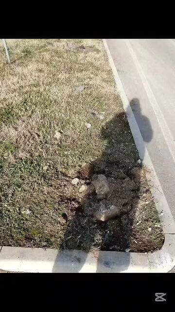 che succede a Magenta?