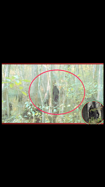 MISSISSIPPI🧌DEADLY -BIGFOOT-HISTORY ~TRUTH 2/2🧿