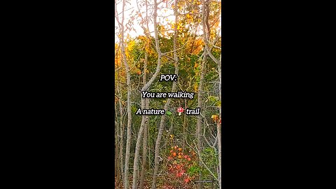 POV: You are walking a nature 🍄‍🟫🍃🌲 trail