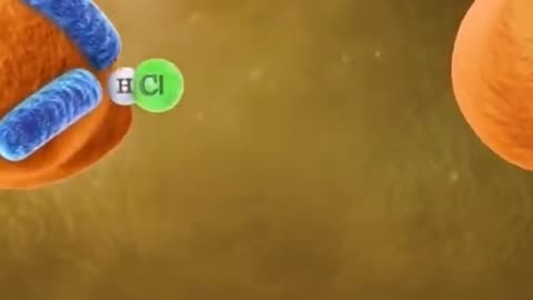 The Human Digestive System 3D Animation