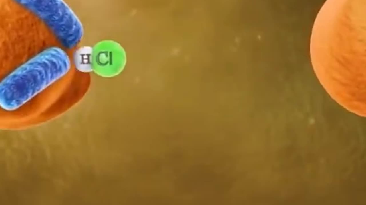 The Human Digestive System 3D Animation