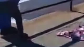 Trump supporter Jonathan Silveira was in a President Trump costume when he was attacked