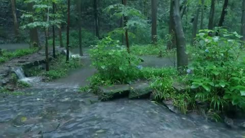 The streams and rain in the valley