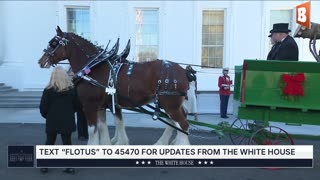 LIVE: First Lady Receives White House Christmas Tree...