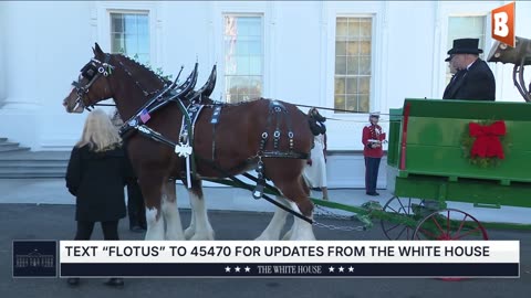 LIVE: First Lady Receives White House Christmas Tree...