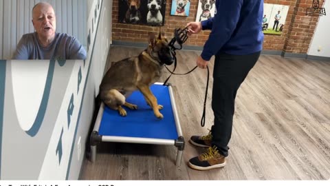 Miracle K9 - Going "Bonkers" with Balanced Dog Training - Pt 3