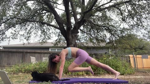 When It's Christmas Time In Texas 💕💚 Everyday Yoga #everydamnday @AlanRoberts