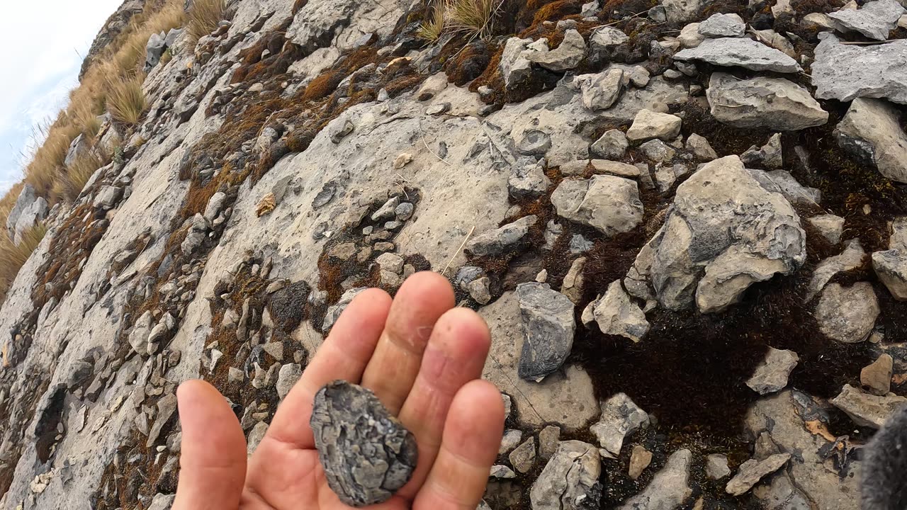 Fossilized Shell Formations in Ampay Sanctuary