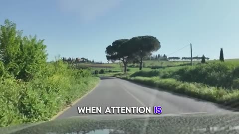 Attention Is Energy | How to Spend It Wisely for a Stronger Brain