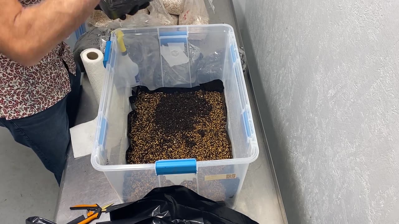 Grow Totes Deep Dive: Detailed Setup, Mixing & Contamination with Andreas Met | Satya Therapeutics