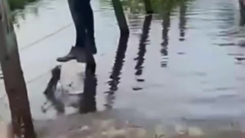 Funny video