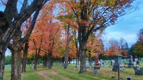 Cemetery in Autumn~