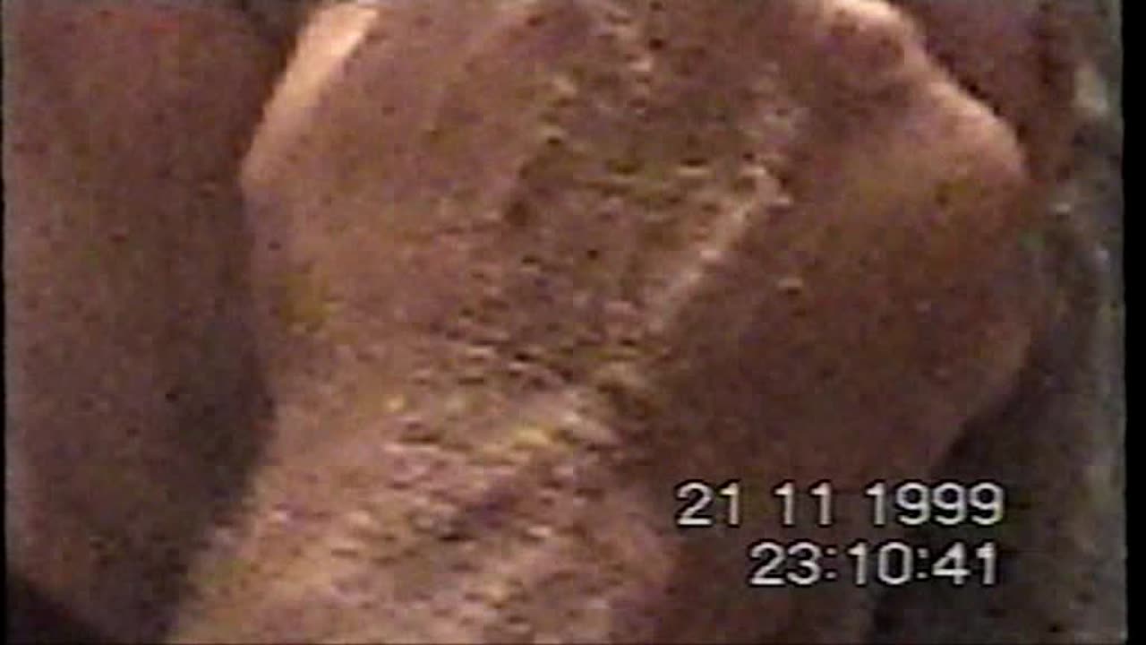1999 11 21