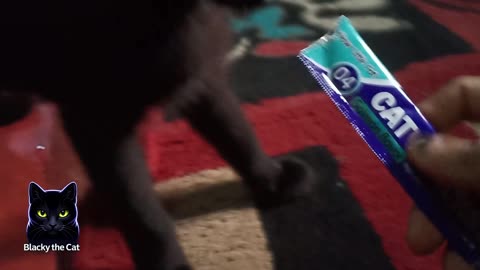blacky eats snacks again, he really likes them