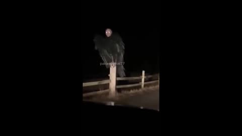 SIGNES DE LA FIN NE DITES PAS QUE VOUS NE SAVIEZ PAS PART 2 (2026)