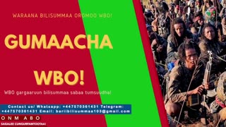 Gabaasa Gumaacha ONM-ABO Onkoloolessa 9-2025 itti dhiyaadhaa!