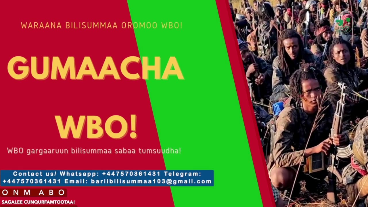 Gabaasa Gumaacha ONM-ABO Onkoloolessa 9-2025 itti dhiyaadhaa!
