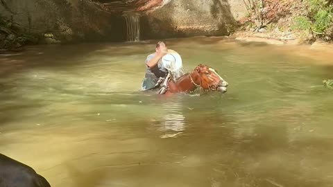 Horse Dives Into Deep Creek With Rider