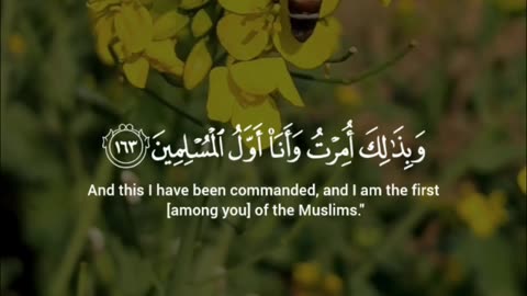 🔥Surah Al-An’am 6:162–163 سورة الأنعام 🕋💫#Quran #shorts #viral #love #youtubeshorts #trending #short