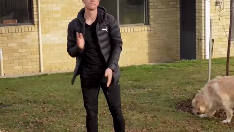 “Pretend to die in front of your dog to see how they react”