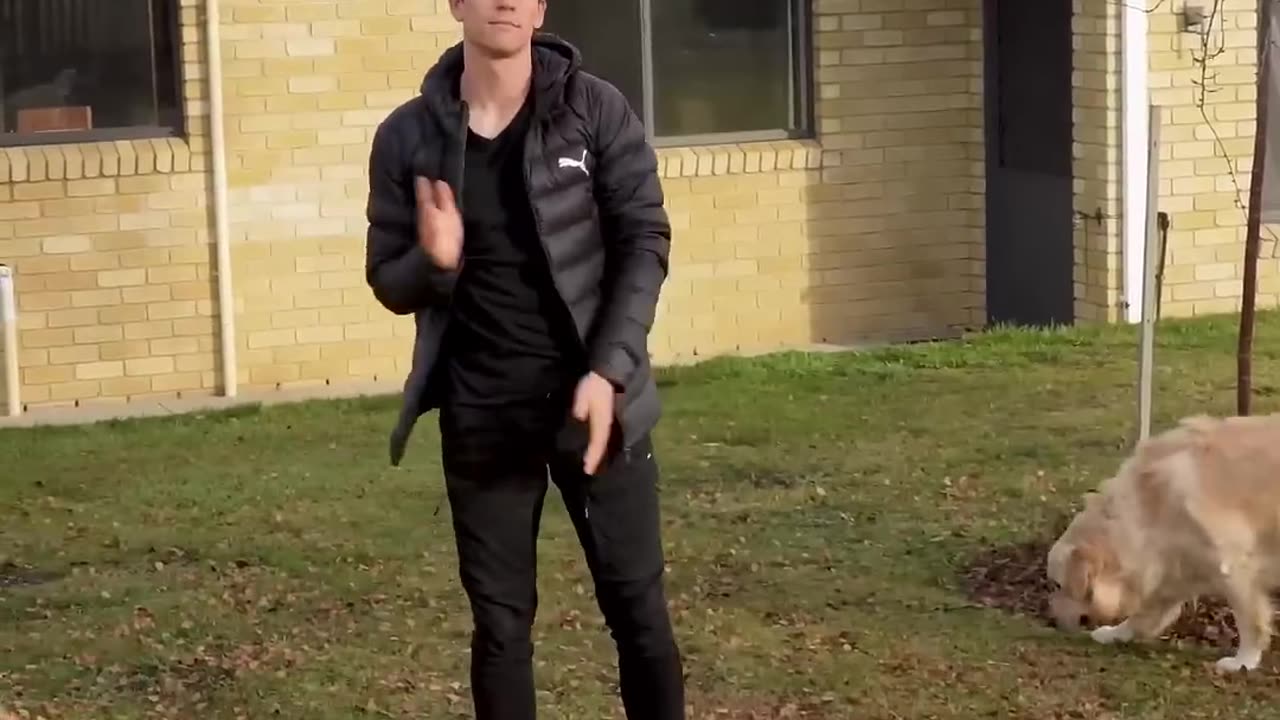 “Pretend to die in front of your dog to see how they react”