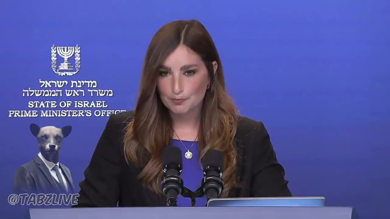 Prime Minister's spokesperson to foreign media: There will be no Turkish forces in Gaza.