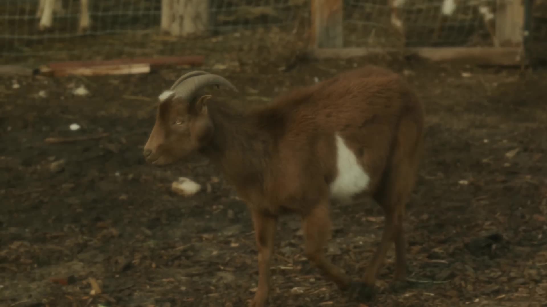 Tom MacDonald - Man In The Sky (Official Video)