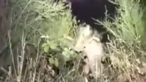 😱👻 What the Hell is That?! | TheHauntingHour