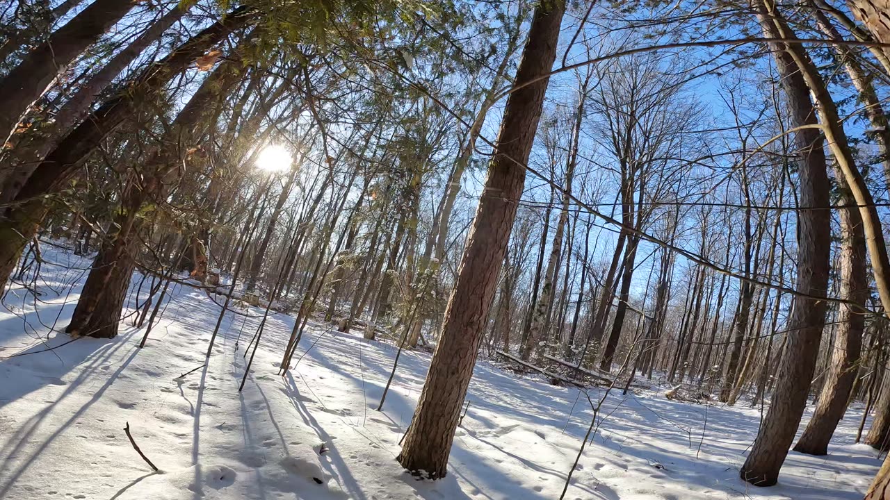 ❄️2025☃️Winter Season -32⛷️Hiking Pinhey Forest Sector Part 1 In Ottawa 🍁 Canada ☀️