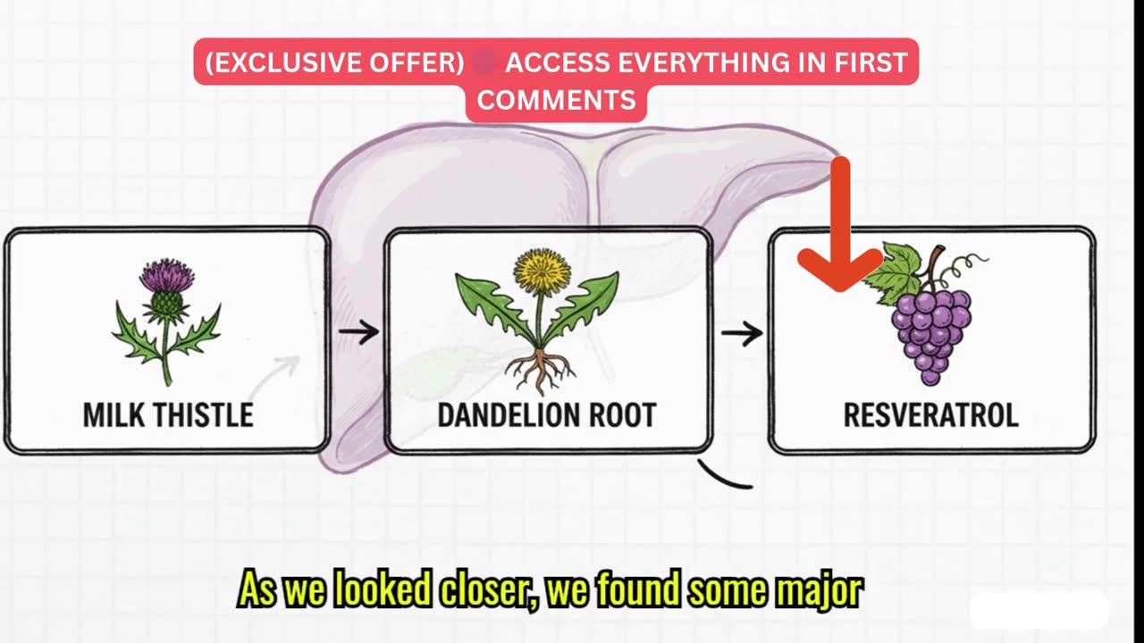 The HEPATOBURN Ingredient Big Pharma Doesn't Want You to Know About