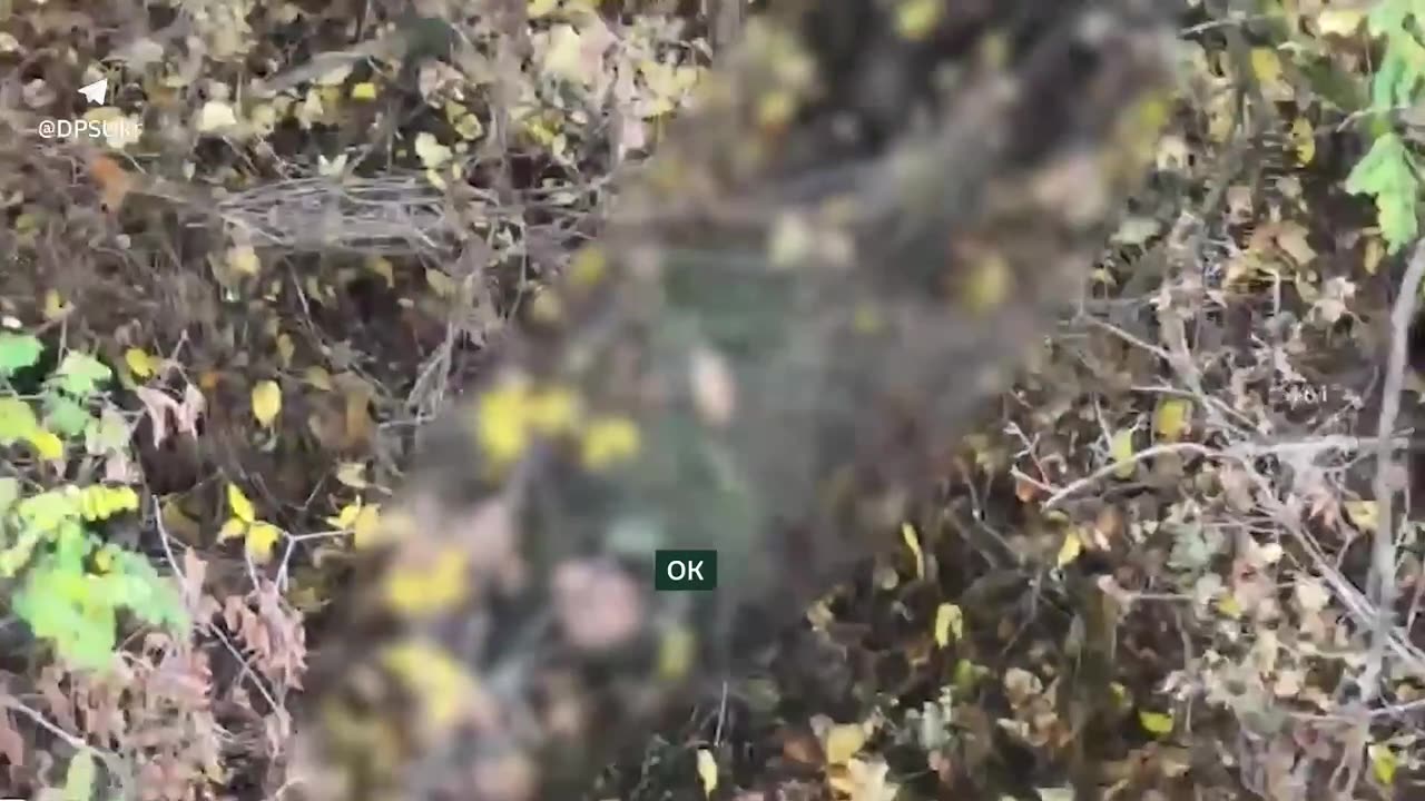 👊🏻Precise strikes by Hart: the enemy lost bridges, equipment and personnel