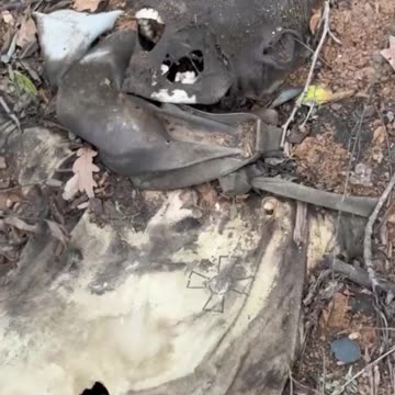 Snoop Dogg is not the same anymore