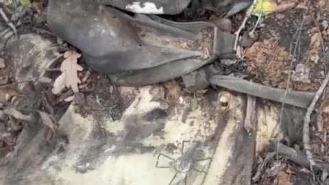 Snoop Dogg is not the same anymore