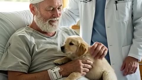 Golden Retriever Pup Rescues an Elderly Man
