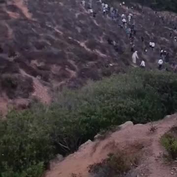 Invasion is happening...... scary