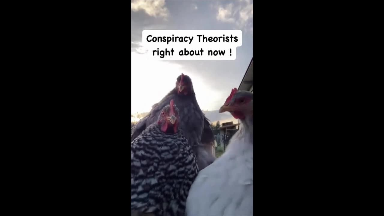 frenTV - RATS RUNNING