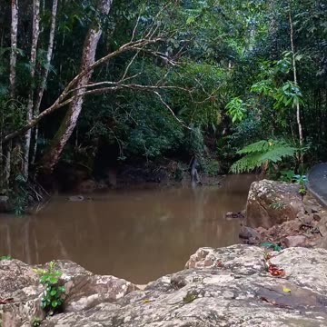 22.12.2024 Jum Rum Creek (2)