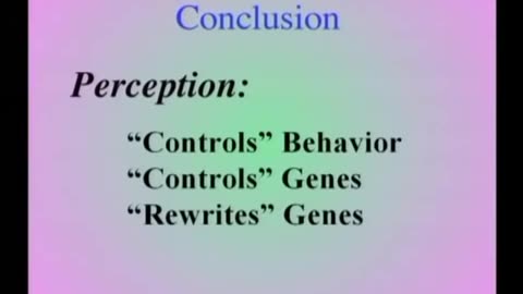 Bruce Lipton - The Biology Of Belief