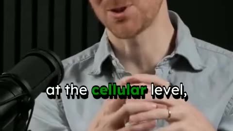 Metabolism Myth Debunked - Dr Martin Picard and Andrew Huberman #aging #exercise #age #metabolism