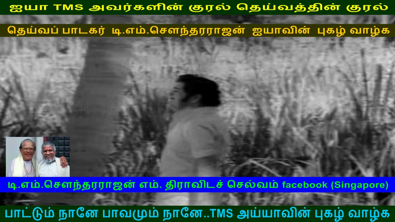 Annakili 1976 (TMS Legend)