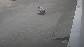 Karma instantáneo para hombre que intenta patear a un perro