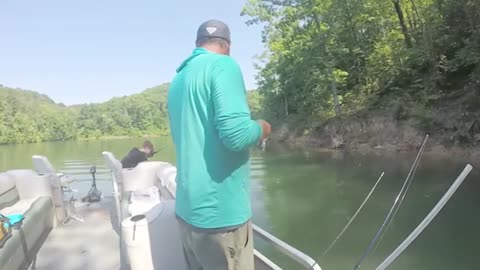 Freedom Fishing