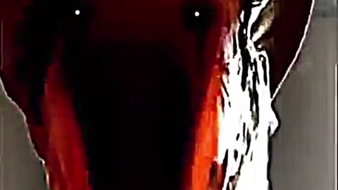 😱💥 Oh Hell No... You Won't Believe This! | TheHauntingHour