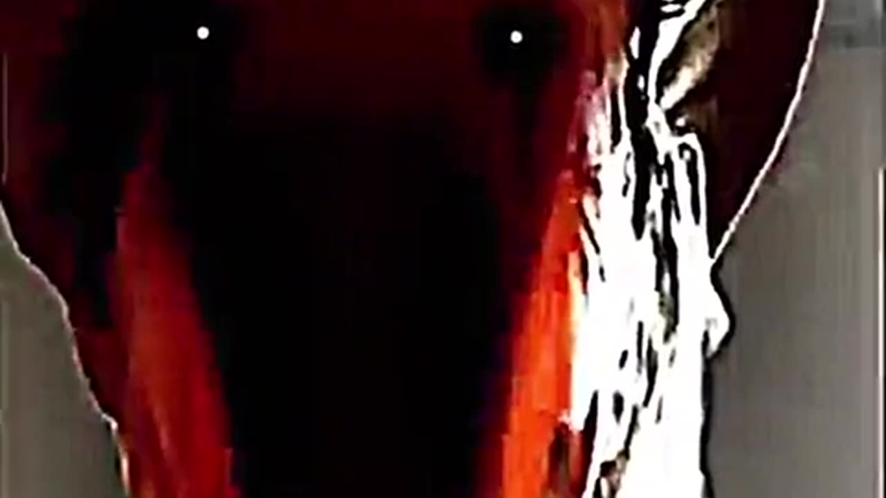 😱💥 Oh Hell No... You Won't Believe This! | TheHauntingHour