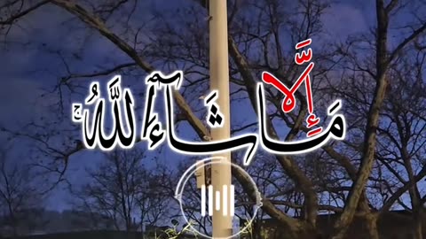 Quran Recitation | Islamic Knowledge.