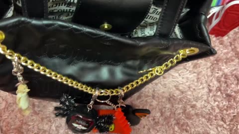 What's in my Juicy Couture Halloween Bag with special guest.