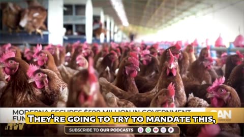 Del Bigtree Warns of Impending Bird Flu Vaccine Mandates