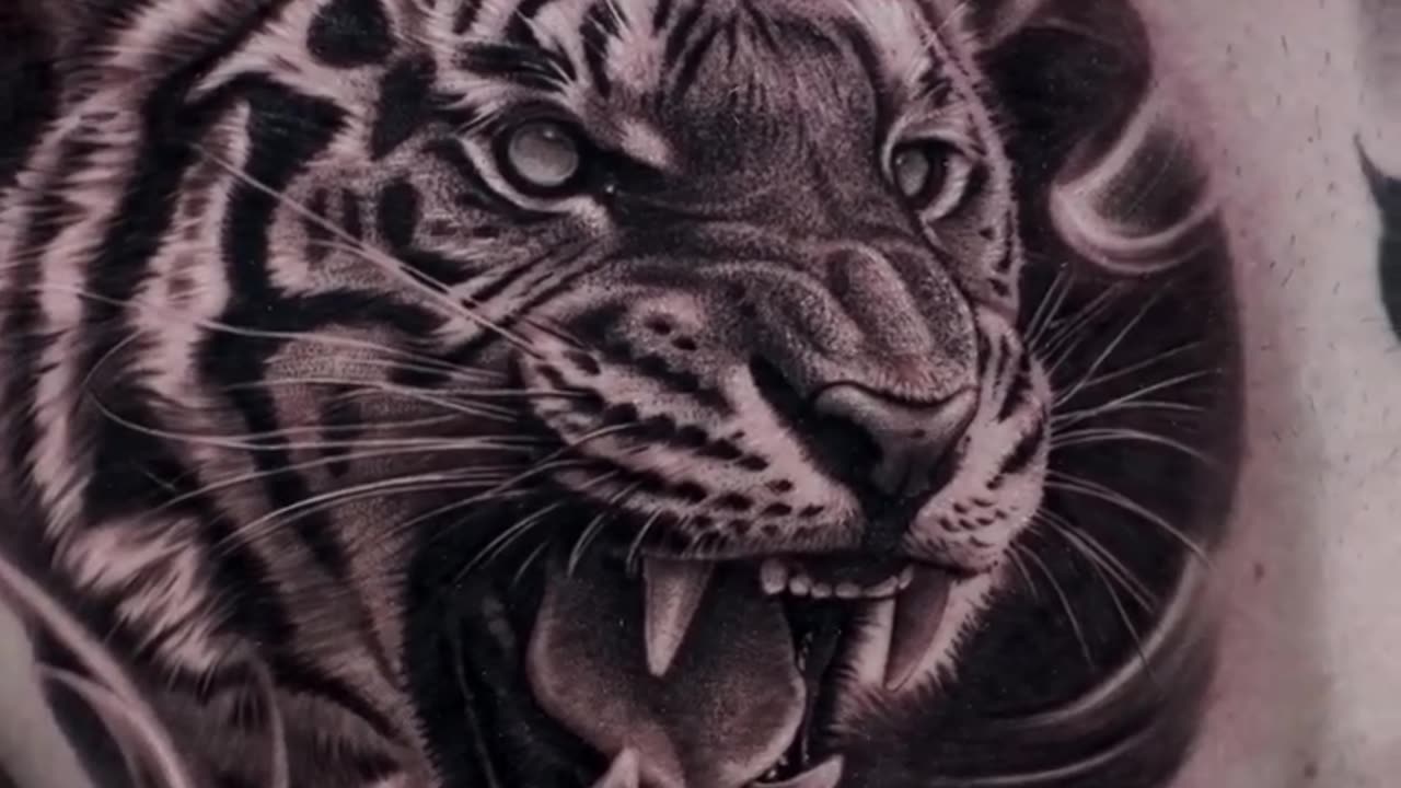 Tiger tattoo - Jose Contreras TX